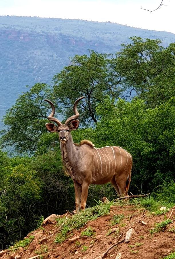 ライデンバーグ66 Sharalumbi Wildlife Estateアパートメント エクステリア 写真