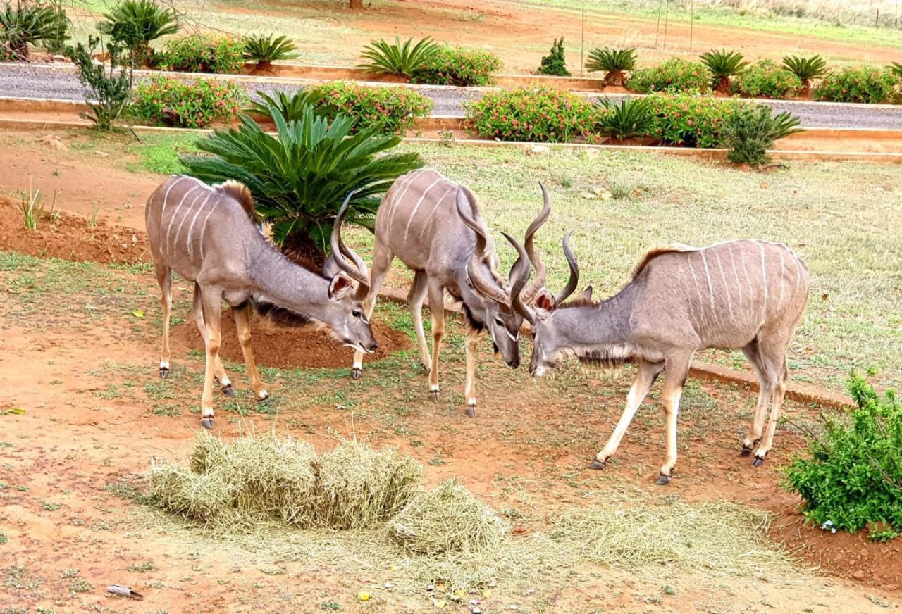 ライデンバーグ66 Sharalumbi Wildlife Estateアパートメント エクステリア 写真